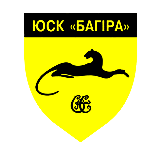 Багіра (Кропивницький)